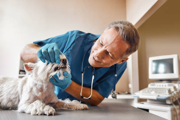 Best Emergency Tooth Extraction in Eatontown, NJ